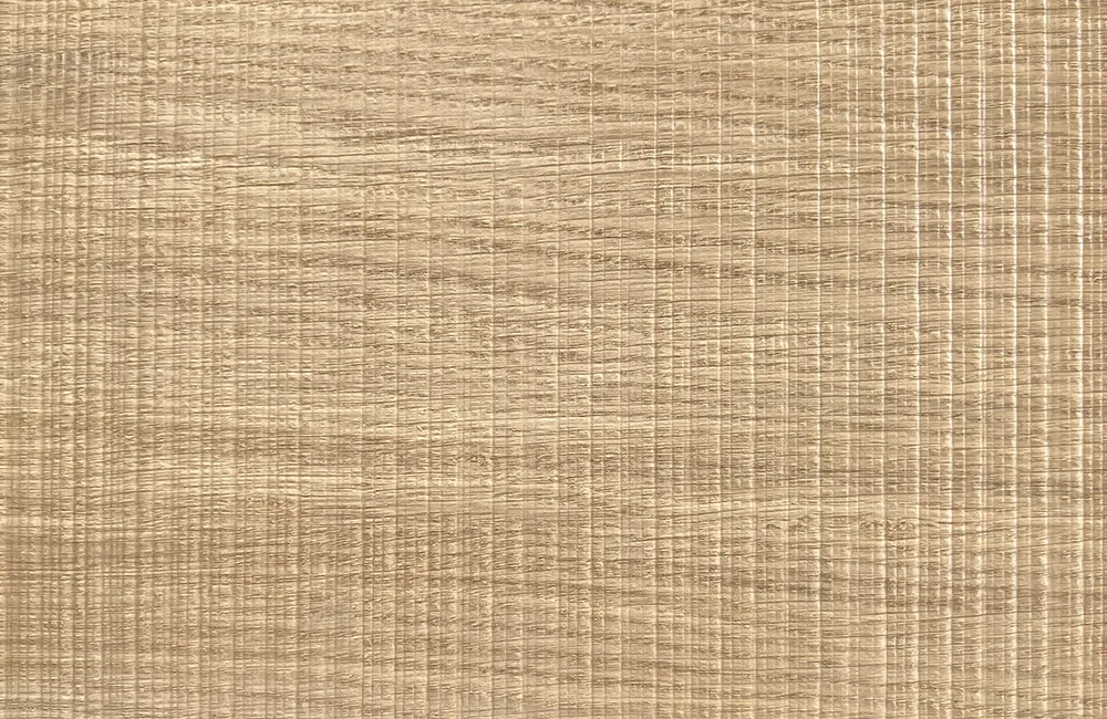 Saegeschnitt X906 1 1